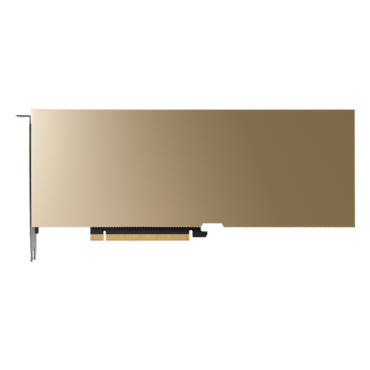 NVIDIA L40S 48 GB